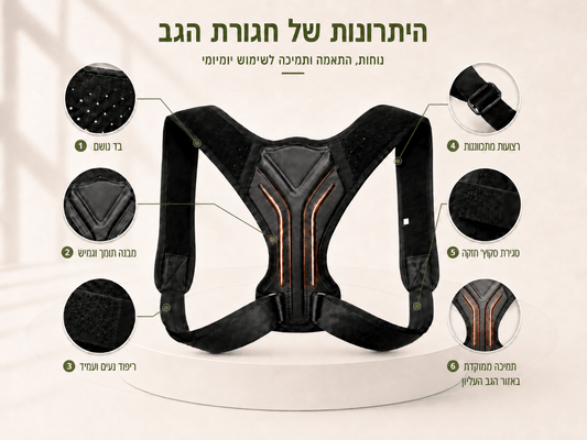 חגורת תמיכה לכתפיים MYLUR